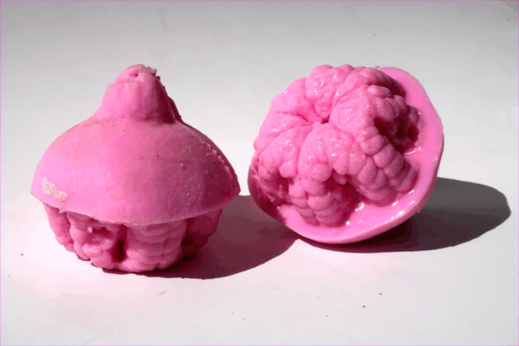 Früchte, offene Serie
Silikon, je ca. 15x15x17cm, ca. 30g
2024/25